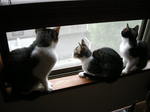 DSCN1826.JPG