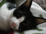 DSCN1831.JPG