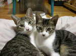 DSCN2232.JPG