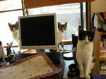 DSCN2413.JPG