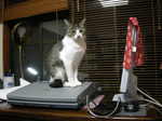 DSCN2700.JPG