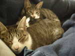 DSCN3068.JPG