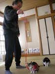 DSCN3866.JPG