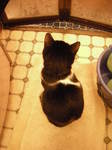 DSCN4169.JPG