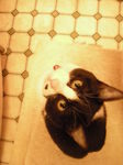 DSCN4170.JPG