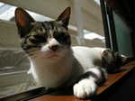 DSCN5761.JPG