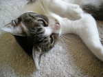 DSCN7592.JPG