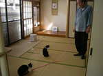 DSCN7734.JPG