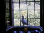 DSCN9994.JPG