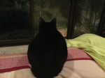 image.jpeg