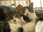 DSCN5538.JPG