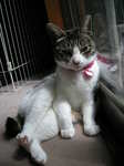 DSCN8894.JPG