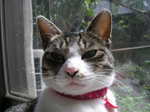 DSCN8895.JPG