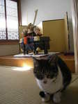 DSCN8905.JPG
