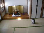 DSCN8906.JPG