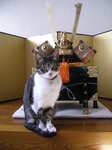 DSCN8909.JPG