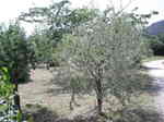 DSCN9903.JPG
