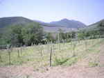 DSCN9904.JPG
